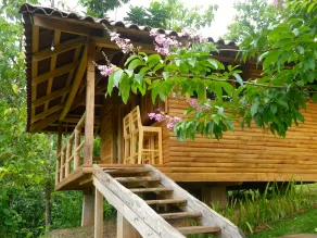Macaw Lodge  - Zimmer