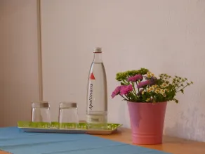 Landhaus Bolzum - Rum
