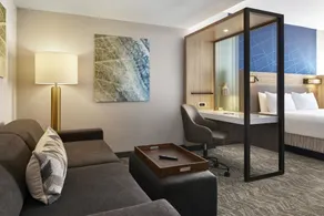 SpringHill Suites by Marriott Frederica - Chambre