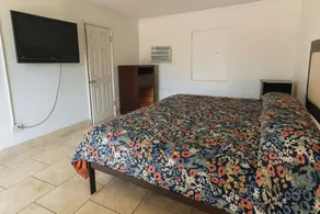 Antigua Motel by OYO Tampa US - 41 - Chambre