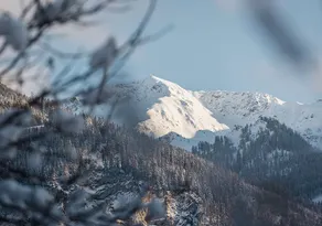 Attraente appartamento accogliente e familiare con sauna, idromassaggio e piscina | Vista sulla montagna | Accetta animali domestici - Vista dalla camera