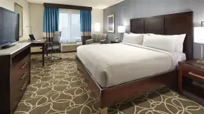 Hilton Garden Inn Harlingen Convention Center - Chambre