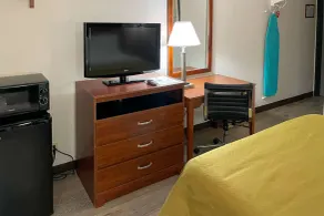 Econo Lodge Cartersville-Emerson Lake Point - Rum