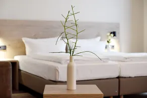 DiMas Hotel Ettenheim - Rust - Chambre