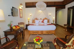 AyurSoma Ayurveda Royal Retreat - Room