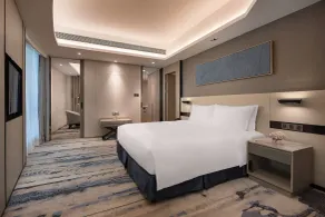 Holiday Inn - Nanjing South Station by IHG - Værelse