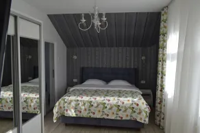 Pensiunea Nicolas - Room