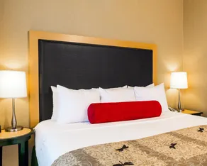 Cambria Hotel Columbus - Polaris - Chambre