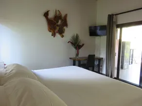 Oasis de las Palmas - Habitación
