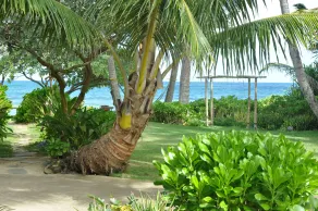 Tiki Moon Villas - Vistas desde la habitación