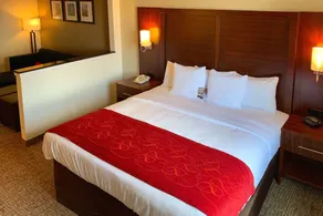 Comfort Suites Texas Ave - Chambre