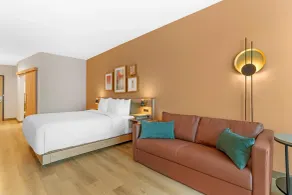 Cambria Hotel Euless - DFW Airport South - Zimmer
