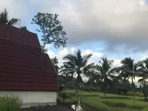 Bello Bungalow - View from room
