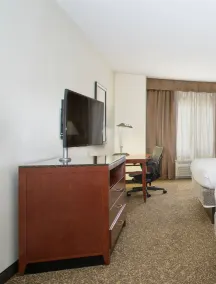 Hilton Garden Inn Avondale - Room