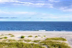 The Westin Hilton Head Island Resort & Spa - Vue de la chambre