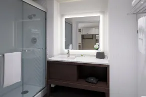 Holiday Inn Gonzales by IHG - Salle de bain