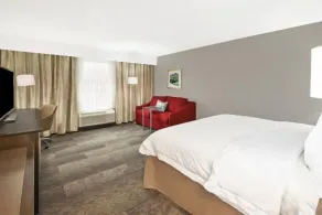 Hampton Inn by Hilton Detroit Dearborn - Chambre
