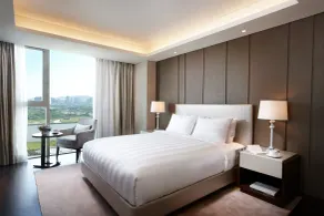 LOTTE CITY HOTEL Daejeon - Udsigt fra værelset