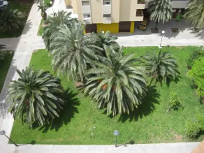 Apartamentos Plaza Picasso - Vue de la chambre