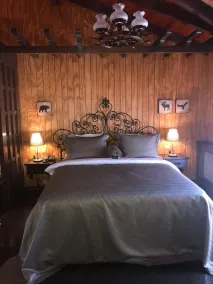 The Swanpark Hotel - Værelse