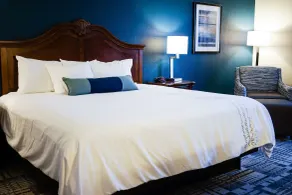 Best Western Plus Dubuque Hotel and Conference Center - Chambre