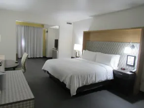 Holiday Inn Orlando International Dr-ICON by IHG - Rom
