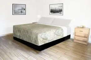 Rodeway Inn San Francisco City Center - Chambre
