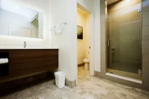 Palace Inn Blue Hwy 6 & Westpark - Bathroom