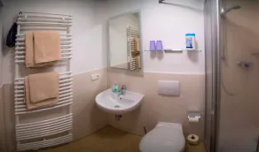 Gästehaus Bergwald - Bathroom