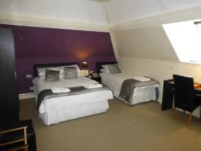 Maes Manor Country Hotel - Room