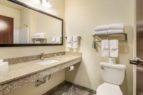 Cobblestone Hotel & Suites - Victor - Salle de bain
