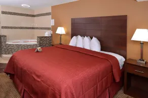 Quality Inn Appleton West - Chambre