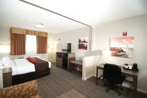 Best Western Plus Sandusky Hotel & Suites - Chambre
