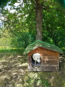 Cà Maggio Nuovo - Resepsjon