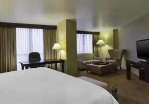 Sheraton Houston Brookhollow Hotel - Chambre