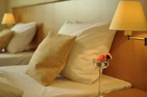 Hotel Alpejski - Chambre