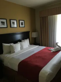 Country Inn & Suites by Radisson, Port Orange-Daytona, FL - Chambre