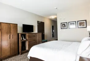 Holiday Inn Express & Suites Spruce Grove - Stony Plain by IHG - Room