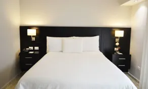 Plaza Florida Suites - Room