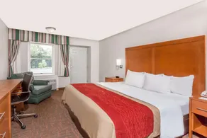 Days Inn by Wyndham Williamsburg Historic Area - Chambre