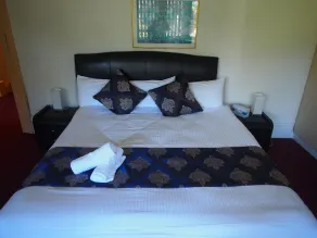 The North Shore Hotel - Room