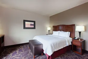 Hampton Inn Seattle/Everett - Chambre