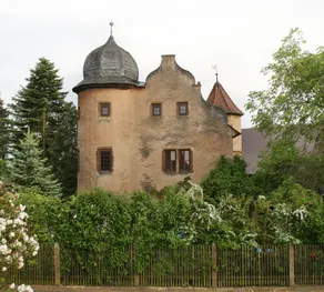 Worners Schloss Weingut & Wellness-Hotel - View from room