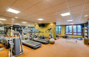 Luxury 2 Bedroom Ski In, Ski Out Condo In Breckenridge With Shared Pool, Hot Tub, Arcade, And Bar - Treningsrom