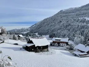 Alp-Chalet - Vista do quarto