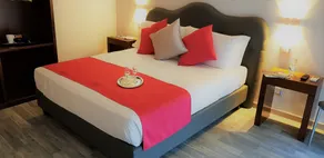 Prima Guest House Collection - Rum