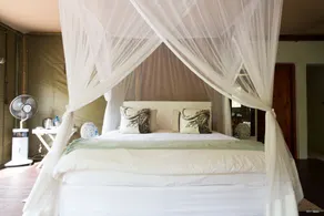 Ngama Tented Safari Lodge - Room