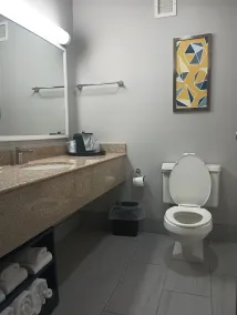 Comfort Inn & Suites Johnson City - Binghamton - Salle de bain
