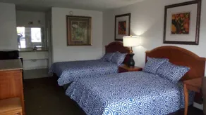 Ambassador Inn - Chambre