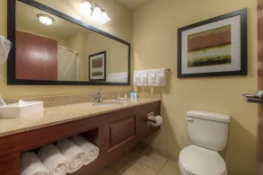 Cobblestone Inn & Suites - Holyoke - Badeværelse
